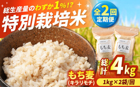 【全2回定期便】キラリモチ もち麦 2kg / もちむぎ もち麦 もち麦 もち麦 もち麦[IBV008]
