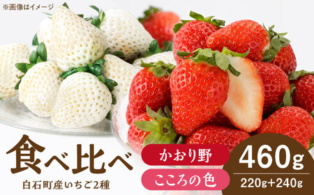 yR8N1ȍ~z̐F× gZbg v460g i̐F220gA240gjyStrawberryFarm-Kz g   ʕ t[c  Zbg  [IBJ024]