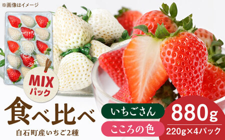 yR8N1ȍ~z̐F×~bNX gZbg v880gi220g×4pbNj yStrawberryfarm-Kz g   ʕ t[c  Zbg [IBJ027]