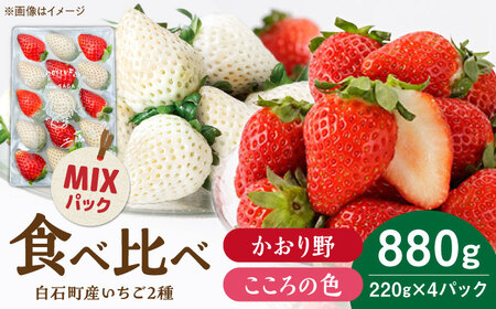 yR8N1ȍ~z̐F×~bNX gZbg v880gi220g×4pbNj yStrawberryfarm-Kz  g   ʕ t[c  Zbg [IBJ029]