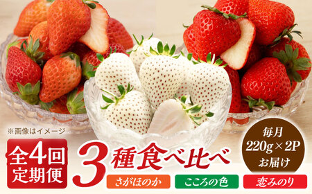 ys\zy4ցzق̂Ê݂E̐F 220g×2pbN×4  y]_z[IBH019]