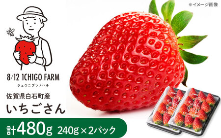 yR8N2ȍ~z 240g×2pbN y8/12ICHIGOFARMz[IBR002]