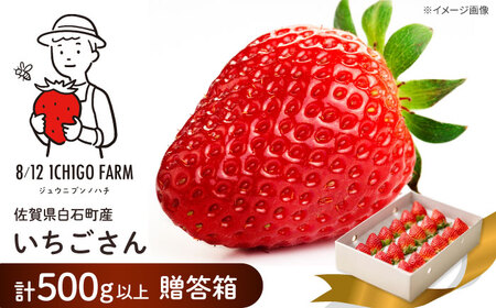 yR8N2ȍ~zMtgɂ߁Iϔ  500gȏ y8/12ICHIGOFARMz[IBR003]