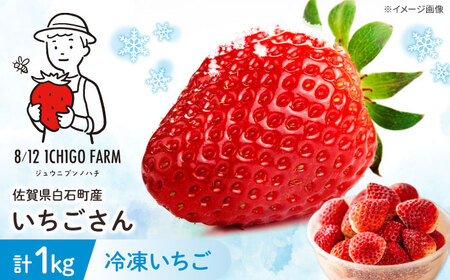 Ⓚij1kg y8/12ICHIGOFARMz[IBR004]