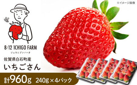 yR8N2ȍ~z 240g×4pbN y8/12ICHIGOFARMz[IBR006]