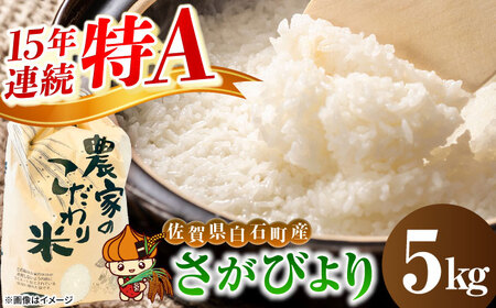 さがびより（白米） 5kg 【かわさきいちご】[IBG018]