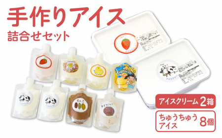 [大容量!おやつにピッタリ♪]手作りアイス詰め合わせセット[佐賀西部コロニー白石作業所] 佐賀県 白石 