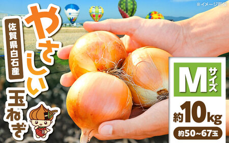 玉ねぎ 約10kg Mサイズ 玉ねぎ IDQ005