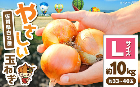 【やさしい玉ねぎ】白石産玉ねぎ 約10kg（Lサイズ）【川崎ファーム】[IDQ006]