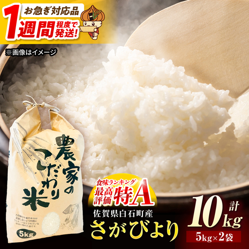 [スピード配送!]令和7年産 さがびより(白米) 10kg[かわさきいちご]