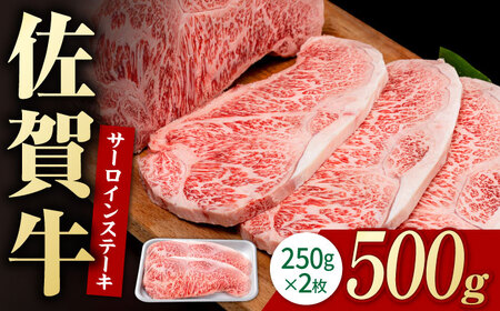  ꋍ T[CXe[L 500g / ꋍ T[C Xe[L  [IAG051]