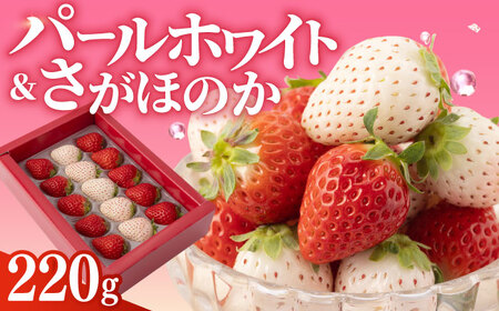 [先行予約]縁起の良い紅白 さがほのかとパールホワイト 220g / いちご イチゴ 白イチゴ 希少いちご 九州 佐賀県 白石町 