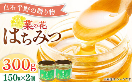 菜の花はちみつ150g×2本 / はちみつ 