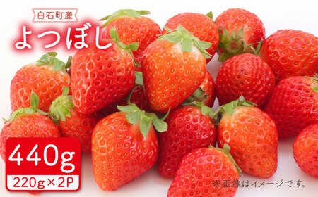 [先行予約]その美味しさ四つ星級!「よつぼし」220g×2パック / いちご イチゴ 赤いちご 佐賀 果物 九州 