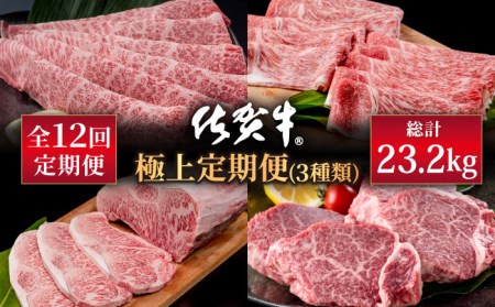 [肉のプロが厳選!][全12回]佐賀牛 極上定期便 [株式会社いろは精肉店] 肉 牛肉 佐賀県産和牛 ブランド牛 国産牛 九州 佐賀県 白石町 