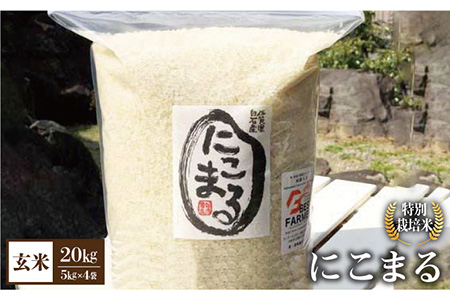【令和5年産】こだわりのにこまる 20kg（玄米） / お米 [IBL012]