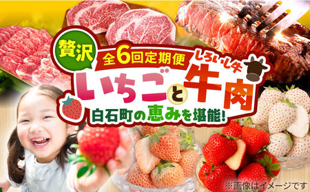 [R8年2月以降発送][6回定期便]いちごと牛肉の贅沢定期便 / いちご 牛肉 