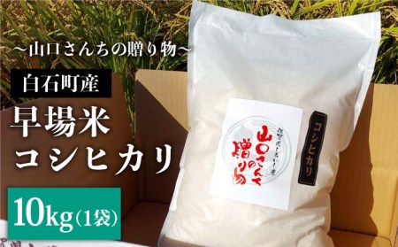 【先行予約】【令和6年産新米】特別栽培米 早場米 コシヒカリ 10kg ～山口さんちの贈り物～【y'scompany】 [IAS002]