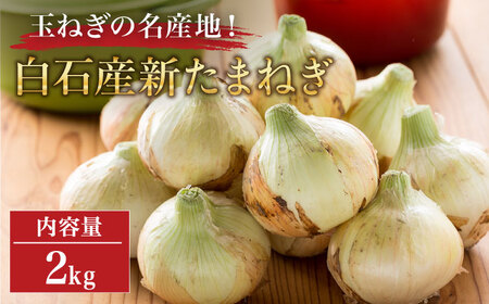 新玉ねぎ 約2kg / 玉ねぎ 