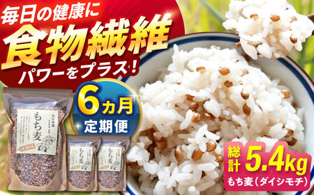 【6回定期便】令和6年産 白石産もち麦900g 計5.4kg / 雑穀米 麦ごはん もち麦 もち麦 もち麦 [IAA035]