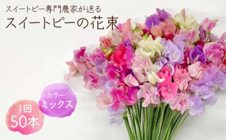 【先行予約】【生産農家直送！】スイートピー 花束 50本（ミックス）【木下農園】[IBW001]