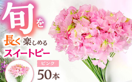 [R7年度12月以降発送]スイートピー 花束 50本(ピンク) / お花 生花 ギフト 贈り物 プレゼント 九州 