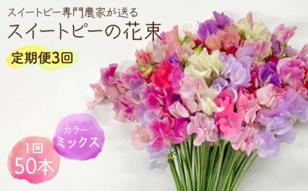 [R8年1月以降発送] [3回定期便]スイートピー 花束 50本(ミックス) / お花 生花 ギフト 贈り物 プレゼント 九州 