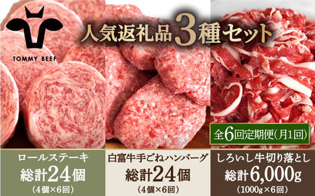 【牧場直送】【6回定期便】人気返礼品詰め合わせ！牛肉100%ふんわりロールステーキ 4個＆手ごねハンバーグ 4個＆しろいし牛 切り落とし 1000g【有限会社佐賀セントラル牧場】[IAH186]