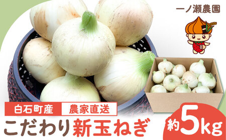 新玉ねぎ (サイズ混合) 約5kg / 玉葱 早生 