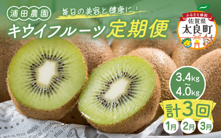 体が喜ぶ☆キウイフルーツ定期便3回コース 定期便 3回 20〜32個 3.4kg〜4kg ヘイワード ヘイワードキウイ キウイフルーツ キウイ フルーツ くだもの 果物 ミネラル豊富 太良町 国産 浦田農園