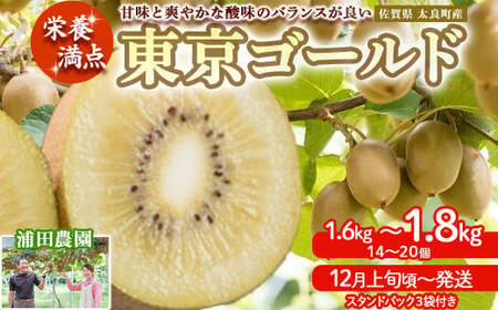 栄養満点!東京ゴールド(キウイフルーツ) 14〜20個 1.6kg〜1.8kg スタンドパック 3袋付き キウイフルーツ キウイ フルーツ 東京ゴールド くだもの 果物 ミネラル豊富 太良町 国産 贈答用