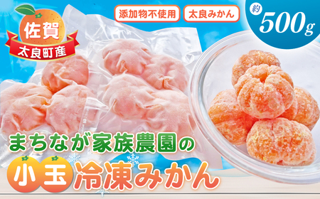 まちなが家族農園の小玉冷凍みかん 約500g 小玉冷凍みかん 冷凍みかん 小玉みかん みかん柑橘 冷凍 佐賀県 太良町