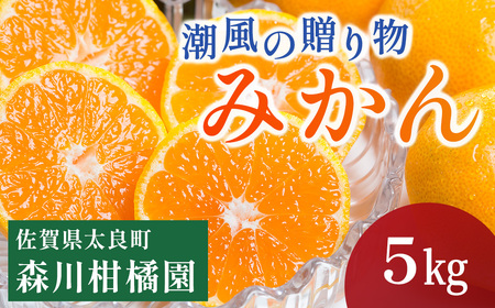 潮風の贈り物 みかん 5kg みかん ミカン 蜜柑 たらみかん 太良みかん 温州みかん 完熟みかん 甘熟 柑橘 国産 佐賀県産 太良町 こだわり 有機栽培 産地直送 贈答品 詰め合わせ 極甘