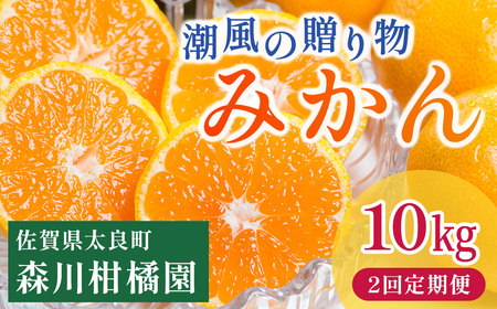 潮風の贈り物(みかん)10kg[2回定期便] みかん ミカン 蜜柑 たらみかん 太良みかん 温州みかん 完熟みかん 甘熟 柑橘 国産 佐賀県産 太良町 こだわり 有機栽培 産地直送 贈答品 詰め合わせ 極甘 定期便