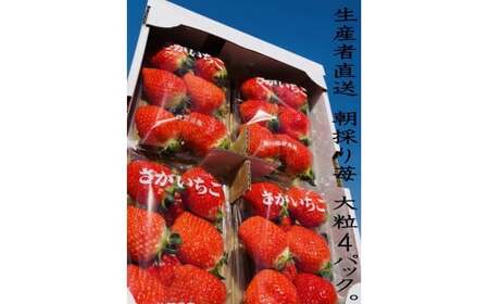 N-88 ǒYúv嗱4P@YҒÎ䕁I ǒ  Y ꌧY ǒY   C`S Â 4pbN ̂ 嗱 ʓW[V[ x  tBH[ g