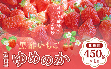 黒酢いちご(ゆめのか) 化粧箱 450g×1箱 黒酢いちご 黒酢苺 黒酢イチゴ いちご 苺 イチゴ ストロベリー ゆめのか 化粧箱 450g×1箱 甘い 美味しい おいしい 太良町 佐賀 冷蔵品