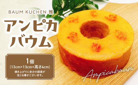 BAUM KUCHEN ̃AsJoE XC[c َq oEN[w ݂̃oEN[w oEN[w ꌧ ǒ M95