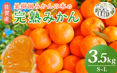 果樹園みかんの木の完熟みかん 3.5kg みかん ミカン 蜜柑 温州みかん 完熟みかん 甘熟 国産 佐賀県産 太良町 こだわり 産地直送 詰め合わせ