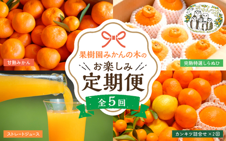 R-37「果樹園みかんの木」のお楽しみ5回定期便コース みかん ミカン 蜜柑 温州みかん 完熟 甘熟 柑橘 しらぬひ でこぽん デコポン ジュース ストレートジュース 100% 有機栽培 国産 佐賀県産 太良町 こだわり 贈答品 産地直送 詰め合わせ 定期便
