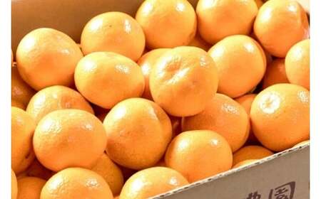 L-91 C_̊n݂iʁjT@݂ ~J  B݂ n݂ Ïn k L@͔| Y ꌧY ǒ  i Yn lߍ킹 