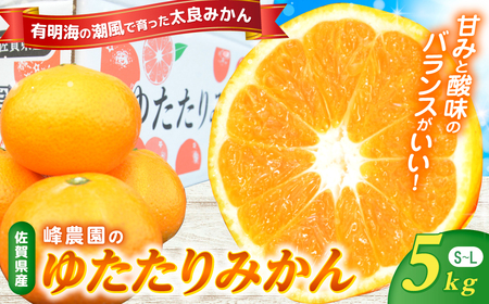 _̂䂽݂iʁj 5kg@݂ B݂ n݂ Ïn k Y Ɋ  ꌧ ǒ LB15