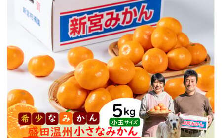 新宮みかん園 希少なみかん盛田温州の小さなみかん 5kg みかん 太良みかん 温州みかん 完熟みかん 甘熟みかん 柑橘 国産みかん 極甘みかん 小玉みかん 佐賀県産 太良町 L141