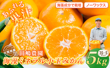 海藻ミネラル小玉みかん 5kg みかん ミカン 蜜柑 たらみかん 太良みかん 温州みかん 完熟みかん 甘熟 柑橘 国産 こだわり 有機栽培 産地直送 贈答品 詰め合わせ 極甘 小玉 佐賀県産 太良町