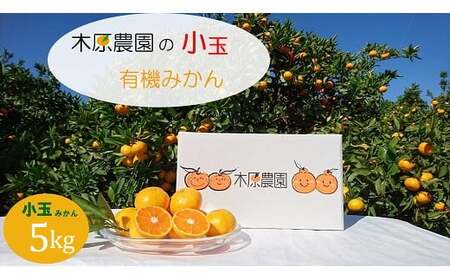 木原農園の小玉有機みかん 5kg みかん ミカン 蜜柑 たらみかん 太良みかん 温州みかん 完熟みかん 甘熟 柑橘 国産 佐賀県産 太良町 こだわり 有機栽培 産地直送 贈答品 詰め合わせ 極甘 小玉