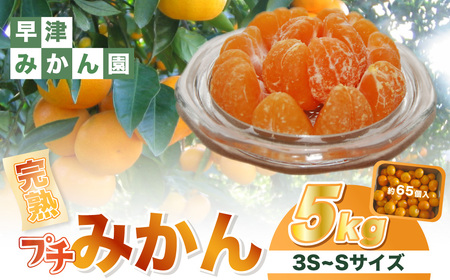 早津みかん園の完熟プチみかん5kg みかん ミカン 蜜柑 温州みかん 完熟みかん 甘熟 柑橘 有機栽培 国産 佐賀県産 太良町 こだわり 贈答品 産地直送 詰め合わせ 極甘 小玉