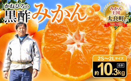 かねひろの黒酢みかん 10.3kg 2S〜2L [7営業日以内発送] [2026年1月下旬まで順次発送予定] 新鮮 黒酢 アミノ酸 みかん 蜜柑 ミカン 温州みかん 10kg 甘い 柑橘 果実 フルーツ オレンジ 人気 おすすめ 贈答 ギフト 正月 実家 産地 九州 佐賀県 太良町