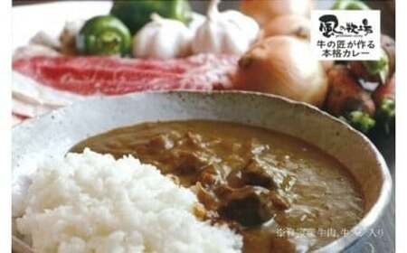 風の牧場「牛の匠が作る本格カレー」洋食 時短 カレー インドカレー ビーフカレー 欧風カレー 贈答品 保存用 ストック用 非常用 簡単 時短