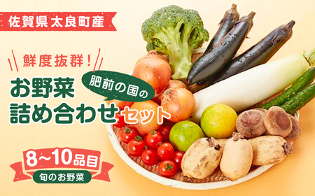 鮮度抜群!肥前の国のお野菜詰め合わせセット(8〜10品目) 野菜 詰め合わせ 野菜セット 野菜詰め合わせ 旬野菜 採れたて 新鮮野菜 常備菜 国産 佐賀県産 太良町 こだわり 産地直送
