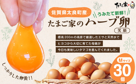 たまご家のハーブ卵(笑顔)30個 卵 たまご 玉子 ハーブ卵 新鮮卵 たまご家の卵 エッグス 佐賀県 太良町 MA2 たまご たまご たまご
