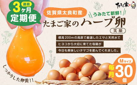 たまご家のハーブ卵(笑顔)30個 3ヵ月定期便 太良町産 卵 たまご家 新鮮 濃厚 30個 高原育ち たまご 卵 タマゴ 定期便 3ヵ月